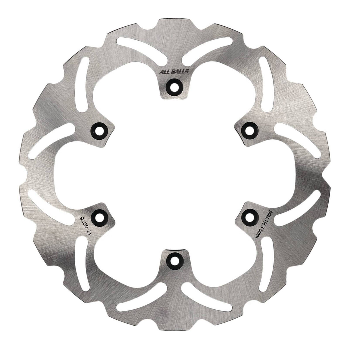 Brake Disc Rear 18-0075
