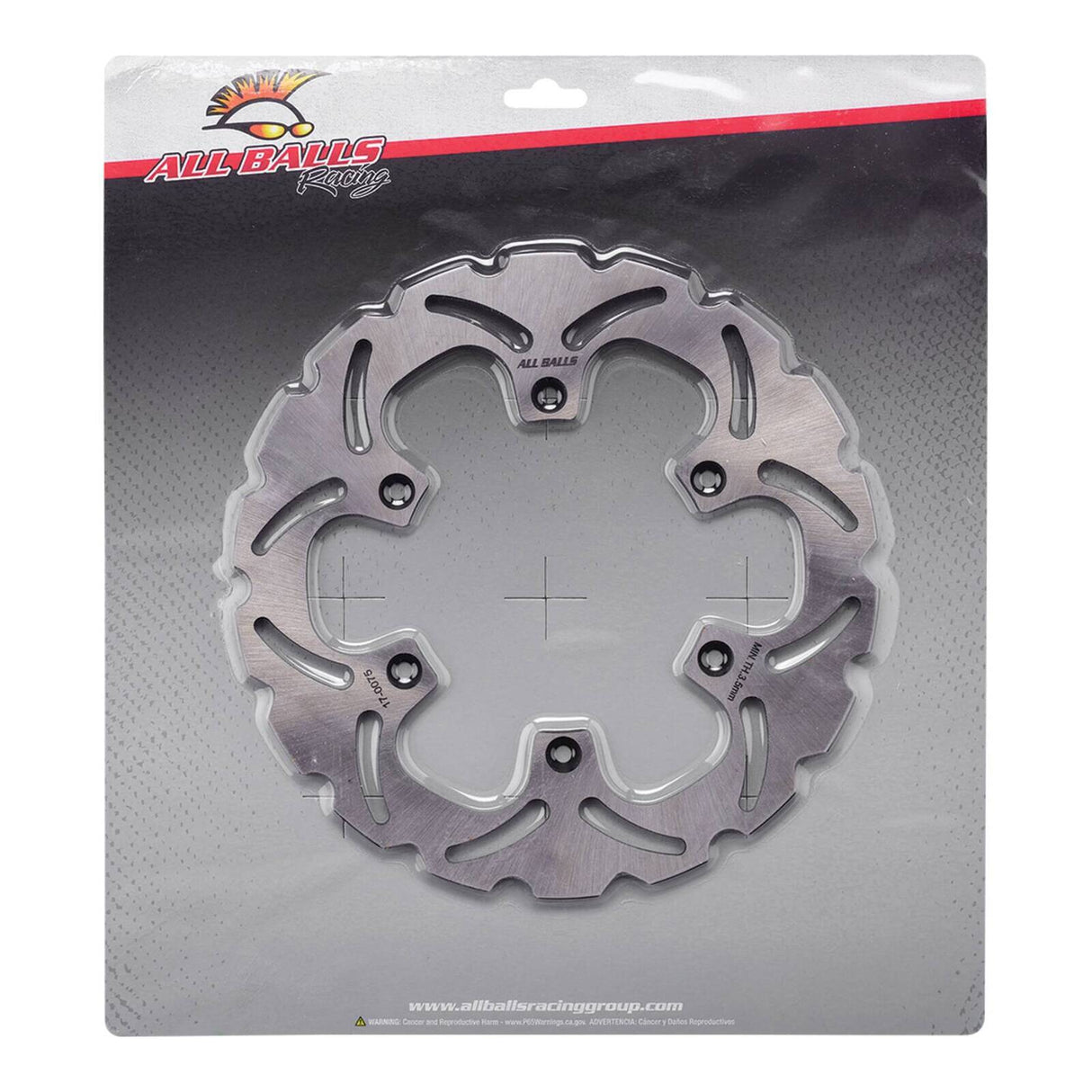 Brake Disc Rear 18-0075