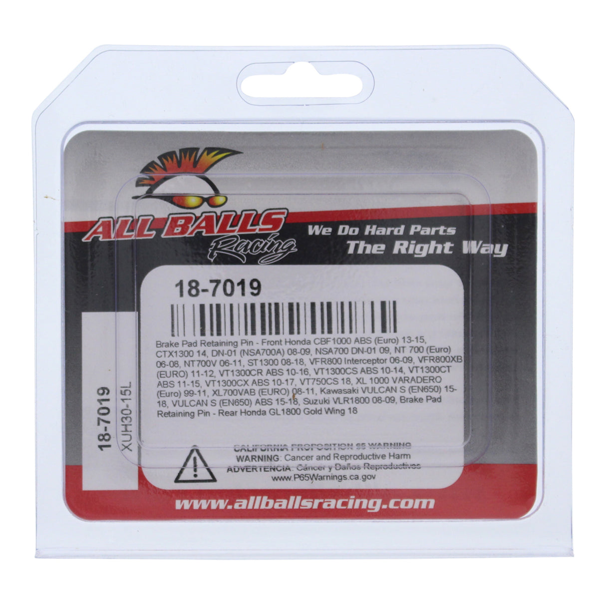 All Balls Racing Brake Pin Kit (18-7019)