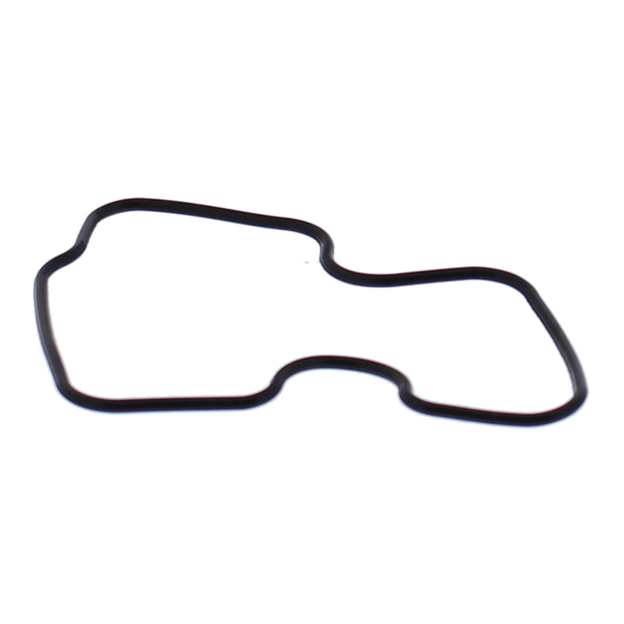 Float Bowl Gasket 46-5024