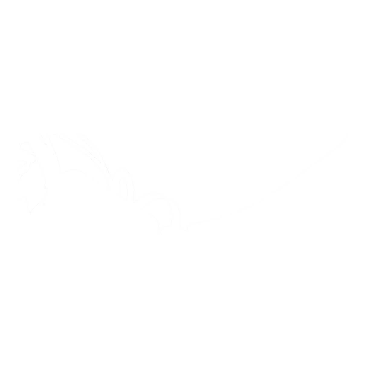 Zeta Clutch Reservoir Cover Honda CRF450R '21-, Kawasaki KX450 '19-