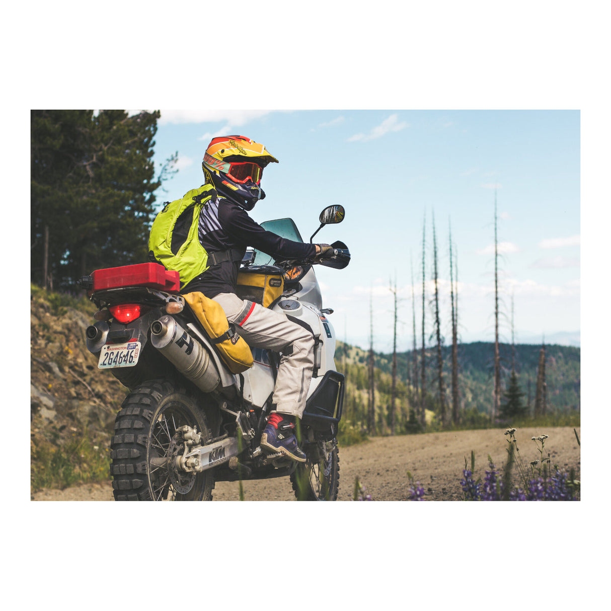 Giant Loop Fandango Tank Bag - Black