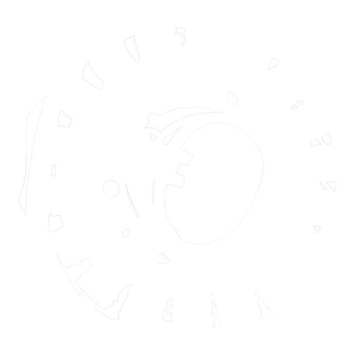 Stator Yamaha XVS650 V-Star Custom '04-'16 (RMS010-103240)