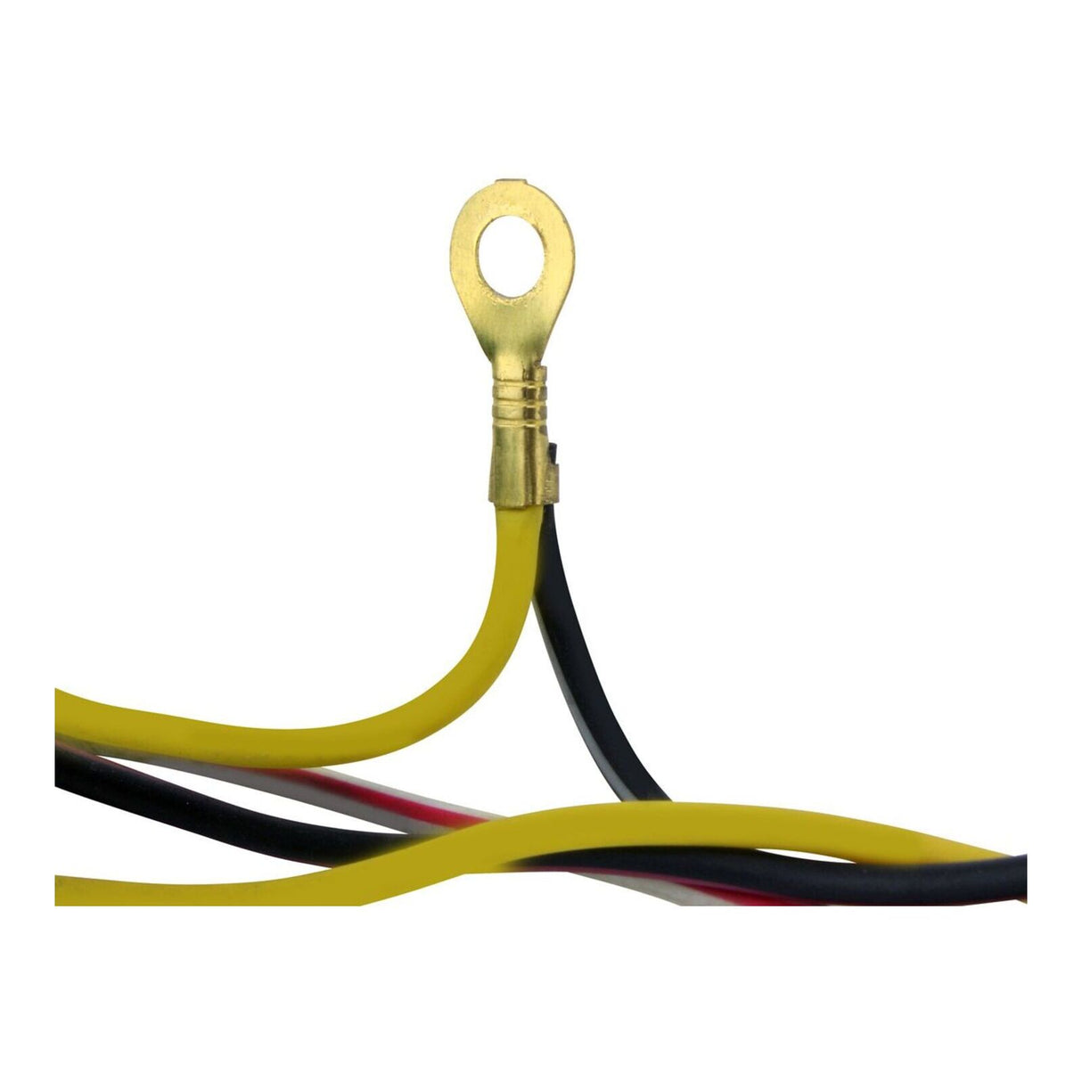 Stator Suzuki RM250 '01-'08 (RMS010-107702)