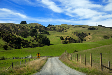 Off the beaten path road South Island New Zealand