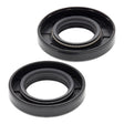 Crankshaft Seal Kit (24-2020)