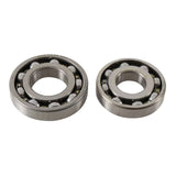 Main Bearing and Seal Kit