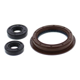 Oil Seal Kit 822200