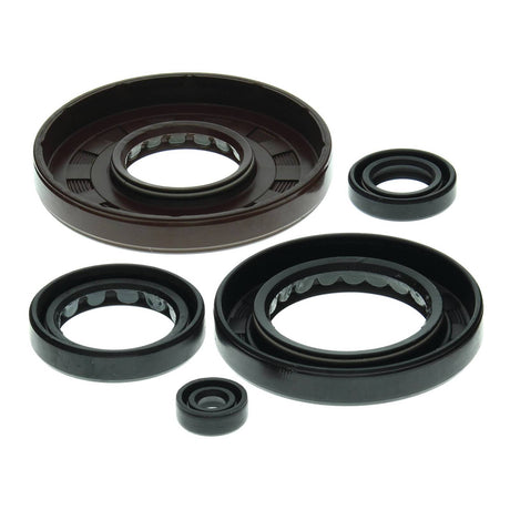 Oil Seal Kit 822210
