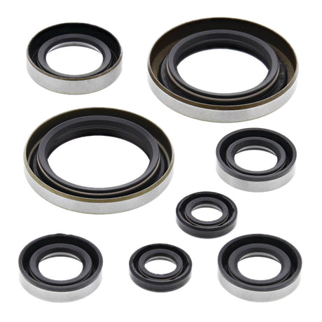 Oil Seal Kit 822274