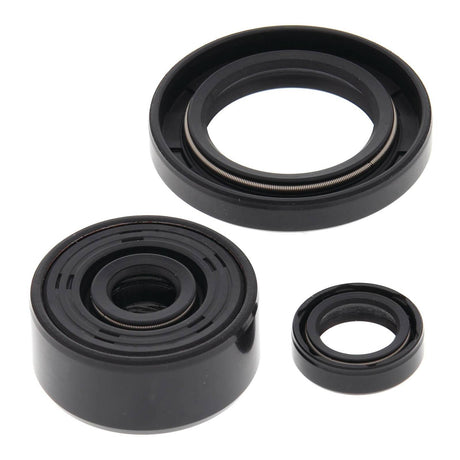 Oil Seal Kit 822339