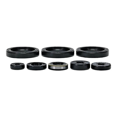 Oil Seal Kit 822403