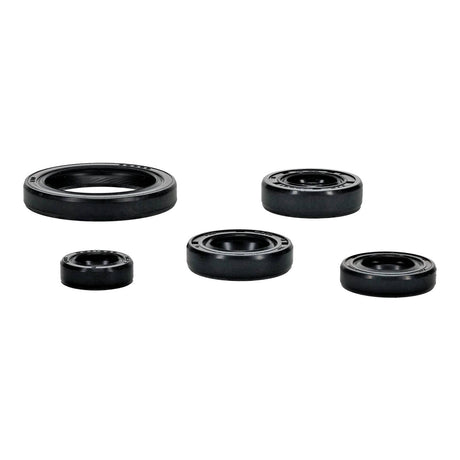 OIL SEAL KIT 822994