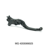MG 4203652026