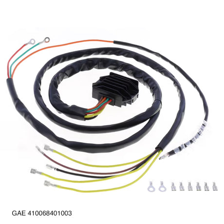 GAE 410068401003