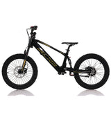 AZONIC Flow 20 (AZF-20) - Electric Balance Bike