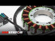 Generator Stator Suzuki Boulevard C90 '05-'09 (RM01195S)